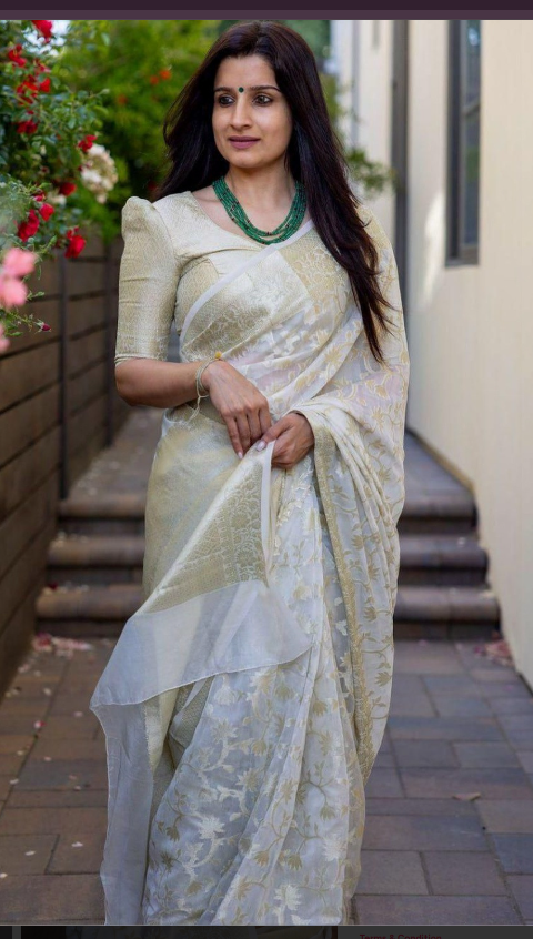 Face Deal Ethnic Motifs Zari Heavy Work Banarasi Saree